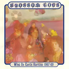 What On Earth: Rarities 1967-69 by Blossom Toes album reviews, ratings, credits