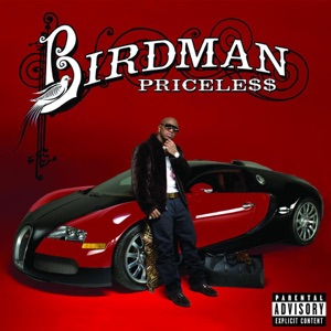 Birdman Money To Blow (Acappella) Artwork