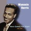 Wynonie Harris - Stormy Night Blues