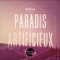 Paradis Artificieux - Dro & Lodzy lyrics