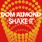 Shake It - Dom Almond lyrics
