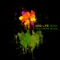 Good Life (Remix) [feat. B.O.B.] - OneRepublic lyrics