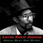 Linton Kwesi Johnson - Five Nights Of Bleeding