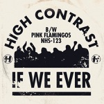 High Contrast - Pink Flamingos