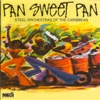 Pan Sweet Pan - Steel Orchestras of the Caribbean