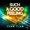 Such a Good Feeling (Crazibiza Remix) - Sean Finn lyrics