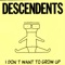 Ace - Descendents lyrics