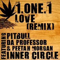 1.One.1 Love (Remix) [feat. Da Professor, Pitbull & Peetah Morgan] - Single - Inner Circle