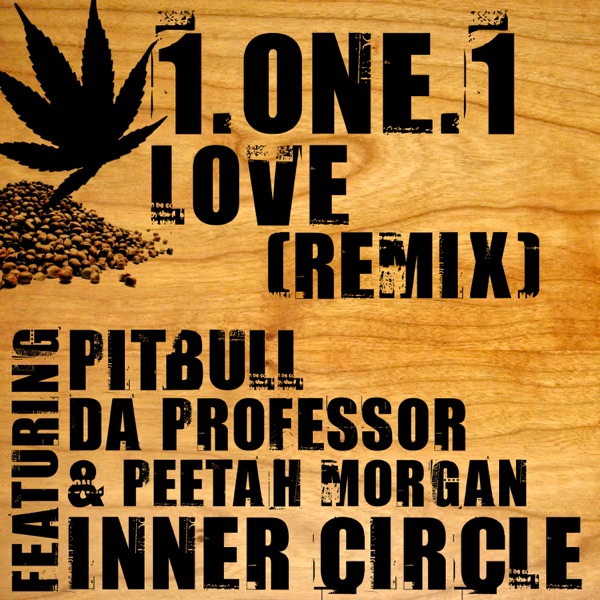 1.One.1 Love (Remix) [feat. Da Professor, Pitbull & Peetah Morgan] - Single - Inner Circle
