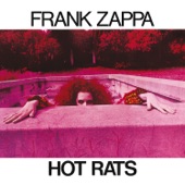 Frank Zappa - Peaches en regalia