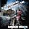 In the Borderlands (Borderlands 2 Song) - Borderline Disaster lyrics