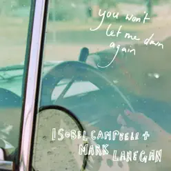 You Won't Let Me Down Again - Single - Mark Lanegan You Won't Let Me Down Again - Single - Mark Lanegan