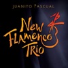 New Flamenco Trio, 2014