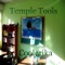 Temple Tools (Tribal House Mix) artwork