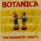 Age of Irony - Botanica lyrics