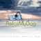 Drifting Away - Relaxmydog lyrics