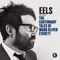 A Swallow in the Sun - Eels lyrics