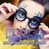 House Seduction, Vol. 6