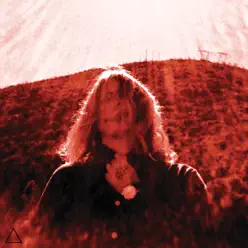 Manipulator - Ty Segall