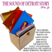 The Sound of Detroit Story, Vol. 3 (100 Songs - Original Recordings) - Verschiedene Interpreten