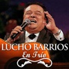 Lucho Barrios En Trío