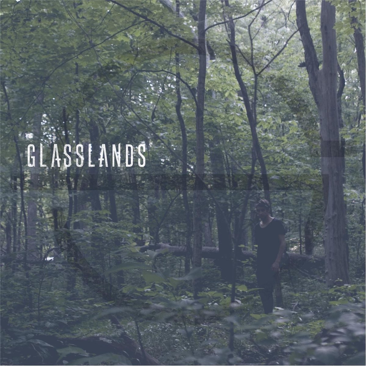 Glasslands. Glasslands группа. Glasslands логотип. Demons Glasslands.