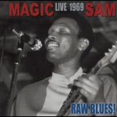 Raw Blues! - Live 1969 artwork
