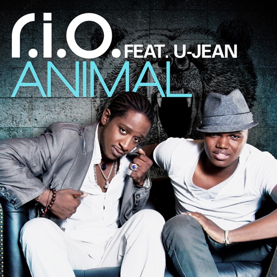 Cover artwork for Animal