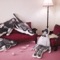 ex Negoto ジャケット写真