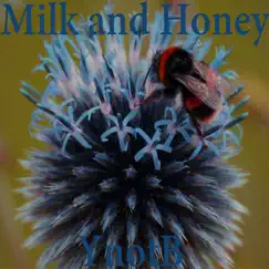 Milk and Honey - Single by YnotB album reviews, ratings, credits