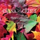 CHINA CRISIS COLLECTION cover art