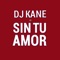 Sin Tu Amor - DJ Kane lyrics