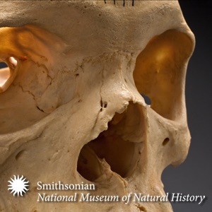 Written in Bone: Forensic Files of the 17th Century Chesapeake cover