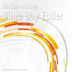 The One and Only: Blind Boy Fuller - Sonny Terry The One and Only: Blind Boy Fuller - Sonny Terry