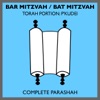 Bar Mitzvah / Bat Mitzvah Torah Portions: P'kudei (Complete Parashah)