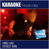 The Karaoke Channel - Sing Like Steely Dan - The Karaoke Channel