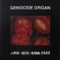 In the Ghetto - Genocide Organ lyrics