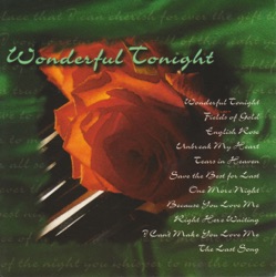 Brian Withycombe - Wonderful Tonight