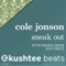 Sneak Out (Dan Price Remix) - Cole Jonson lyrics