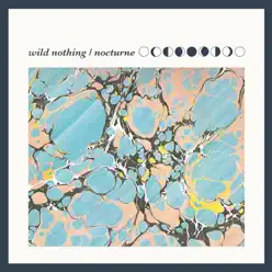 Nocturne - Wild Nothing