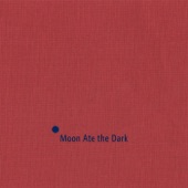 Moon Ate the Dark
