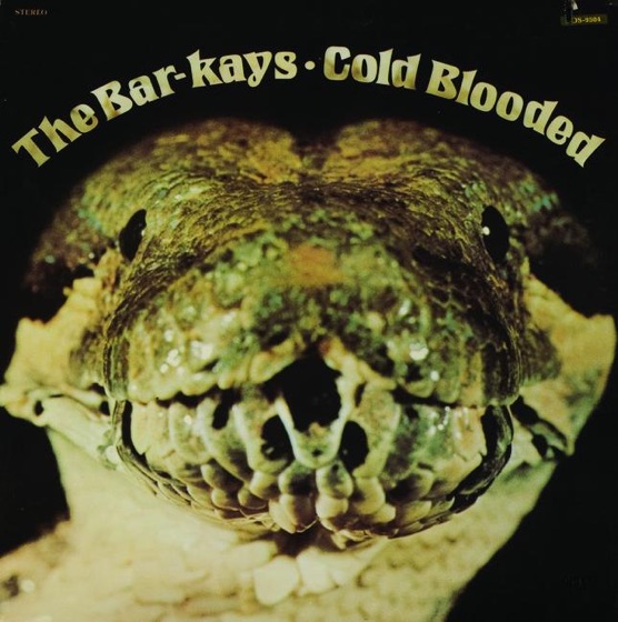 Cover artwork for Coldblooded