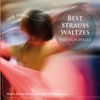 Willi Boskovsky & Vienna Philharmonic Orchestra - Tales from the Vienna Woods Op. 325