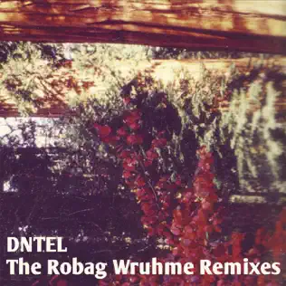 Album herunterladen Dntel - The Robag Wruhme Remixes