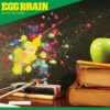 EGG BRAIN