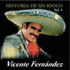 Vicente Fernández - La Historia de un Ídolo, Vol. 1 artwork