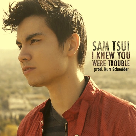 Cover artwork for I Knew You Were Trouble