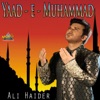 Yaad-E-Muhammad, 2014