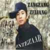 Zang Zang - Madhosh