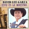 Poquito a poco - David Lee Garza lyrics